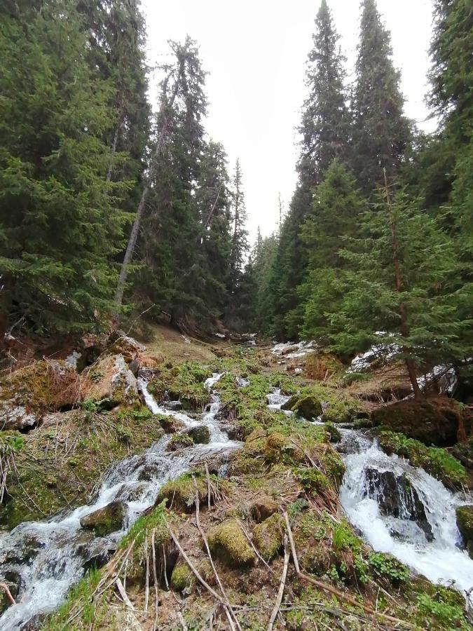 Petkovi Аpartments, Borovets Gardens - One-Bedroom And Two-Bedroom Apartments Exterior foto